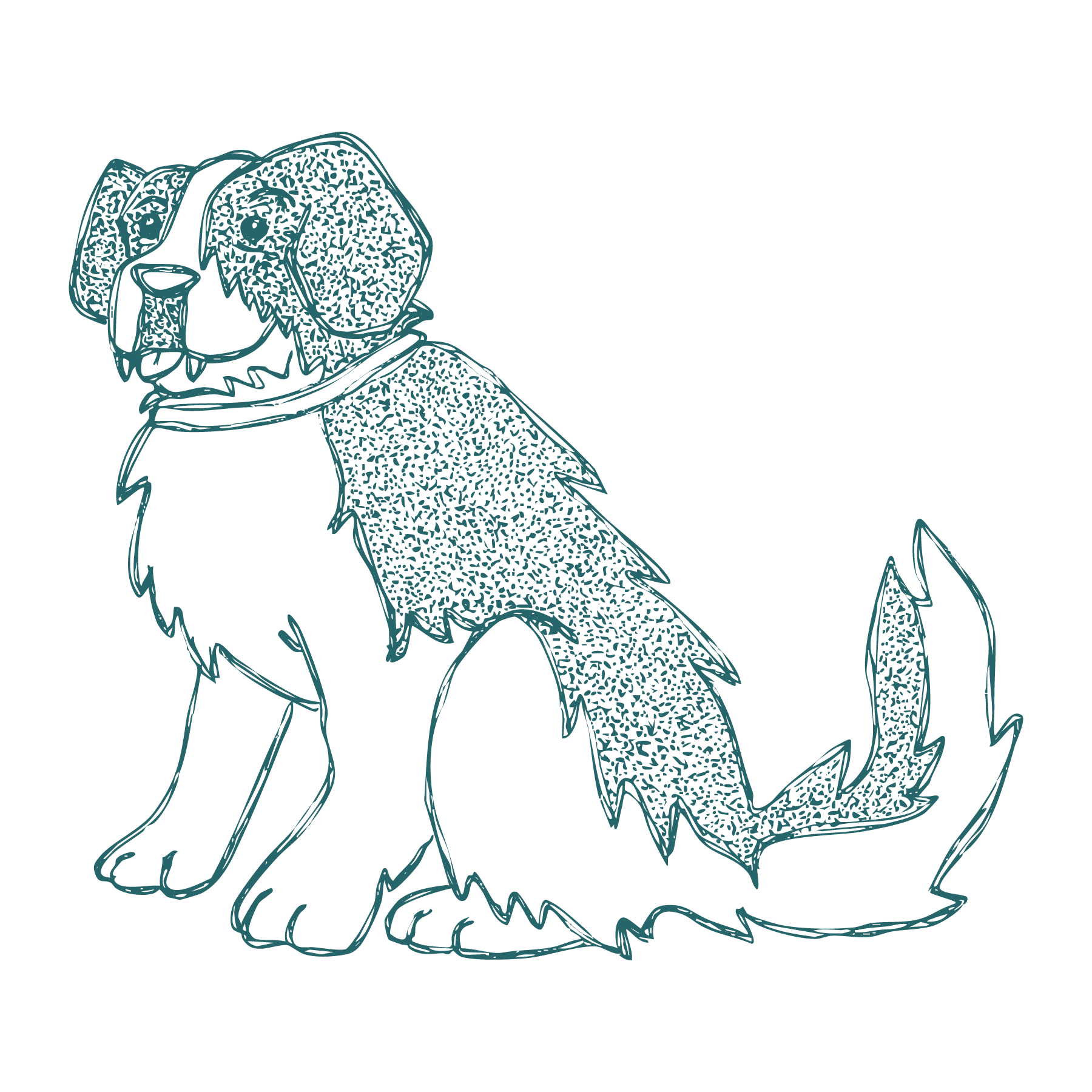 fang teal fang teal